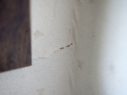 壁のひび割れを補修する:画像6