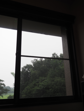 網戸の網を張替える:画像49