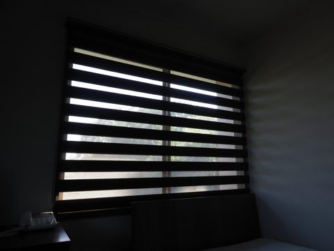 タチカワブラインド ロールスクリーン・デュオレ ダンテ のレビュー:画像2