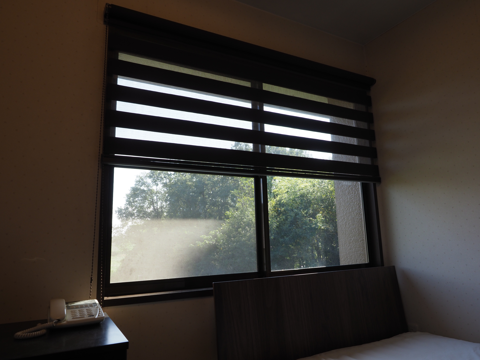 タチカワブラインド ロールスクリーン・デュオレ ダンテ のレビュー:画像3