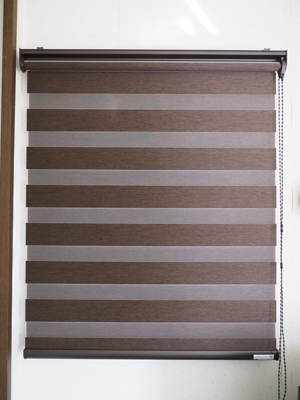 タチカワブラインド ロールスクリーン・デュオレスリム ダンテ のレビュー:画像1