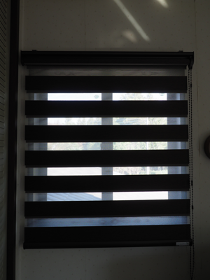 タチカワブラインド ロールスクリーン・デュオレスリム ダンテ のレビュー:画像2