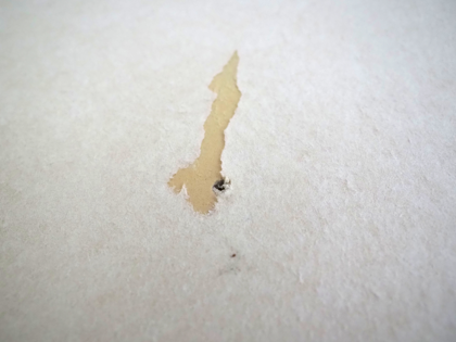 壁紙を張替える:画像7