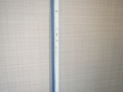 壁紙を張替える:画像42