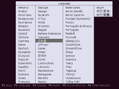 Ubuntu 10.10 Server版をインストールする:画像2