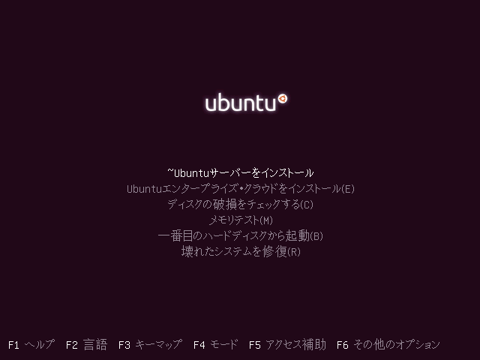 Ubuntu 10.10 Server版をインストールする:画像3