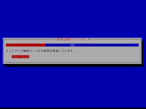 Ubuntu 10.10 Server版をインストールする:画像13
