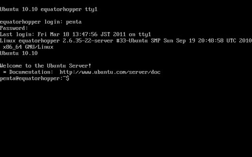 Ubuntu 10.10 Server版をインストールする:画像40
