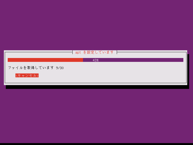 Ubuntu 11.04 Server版をインストールする:画像28