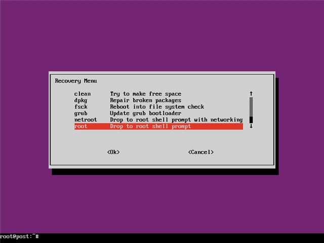 Ubuntuでパスワードを忘れた場合の対処法:画像6