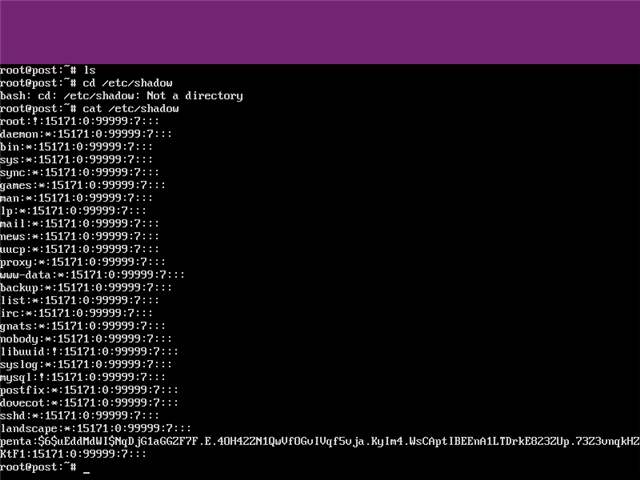 Ubuntuでパスワードを忘れた場合の対処法:画像7