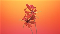 macOS Mojave (macOS 10.14) の壁紙:画像43