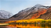 macOS Mojave (macOS 10.14) の壁紙:画像49