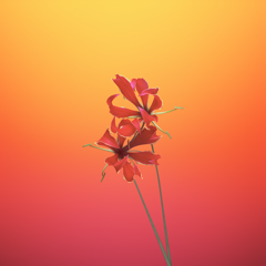 macOS Catalina (macOS 10.15) の壁紙:画像53