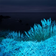 macOS Big Sur (macOS 11.0) の壁紙:画像81