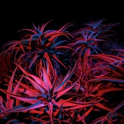 macOS Big Sur (macOS 11.0) の壁紙:画像82