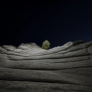 macOS Big Sur (macOS 11.0) の壁紙:画像67