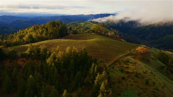macOS Sonoma (macOS 14.0) の壁紙:画像3