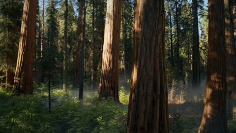 macOS Sequoia (macOS 15.0) の壁紙:画像1