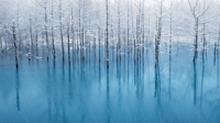 OS X El Capitan (OSX 10.11) の壁紙:画像6
