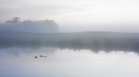OS X El Capitan (OSX 10.11) の壁紙:画像12