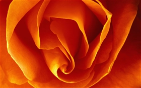 Mac OS X v10.4 Tiger の壁紙:画像6