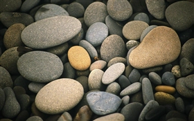 Mac OS X v10.4 Tiger の壁紙:画像15
