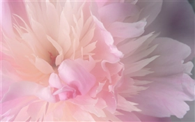 Mac OS X v10.4 Tiger の壁紙:画像17