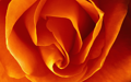 Mac OS X v10.5 Leopard の壁紙:画像69