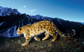 Mac OS X v10.6 Snow Leopard の壁紙:画像60