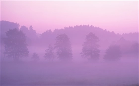 Mac OS X Lion (Mac OS X 10.7) の壁紙:画像15