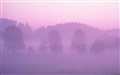 Mac OS X Lion (Mac OS X 10.7) の壁紙:画像36
