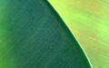 OS X Mountain Lion  (OS X 10.8) の壁紙:画像68