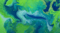 OS X Mavericks (OS X 10.9) の壁紙:画像11