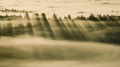 OS X Mavericks (OS X 10.9) の壁紙:画像15