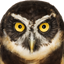 Mac OS Xのアカウント画像はどこに保存されているのか (デフォルトアカウント画像の保存先):画像3