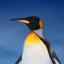 Mac OS Xのアカウント画像はどこに保存されているのか (デフォルトアカウント画像の保存先):画像5