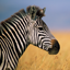 Mac OS Xのアカウント画像はどこに保存されているのか (デフォルトアカウント画像の保存先):画像6