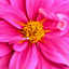Mac OS Xのアカウント画像はどこに保存されているのか (デフォルトアカウント画像の保存先):画像7