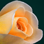 Mac OS Xのアカウント画像はどこに保存されているのか (デフォルトアカウント画像の保存先):画像14