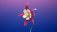 Mac OS X のスクリーンセーバー壁紙:画像60