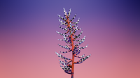 Mac OS X のスクリーンセーバー壁紙:画像64