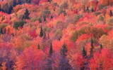 Mac OS X のスクリーンセーバー壁紙:画像36