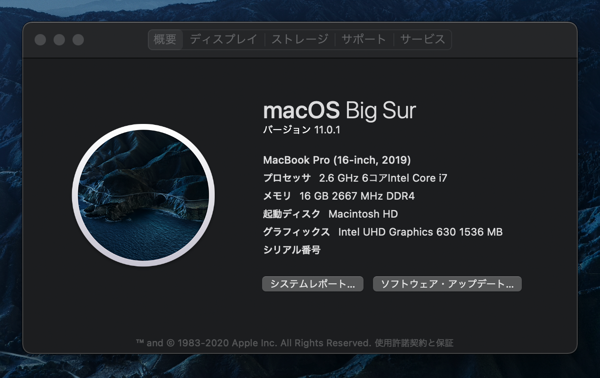 macOS Big Sur にアップデートする:画像20