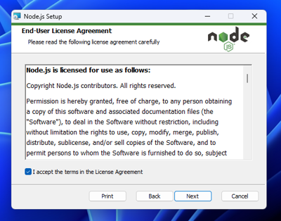 Node.js のインストール:画像8