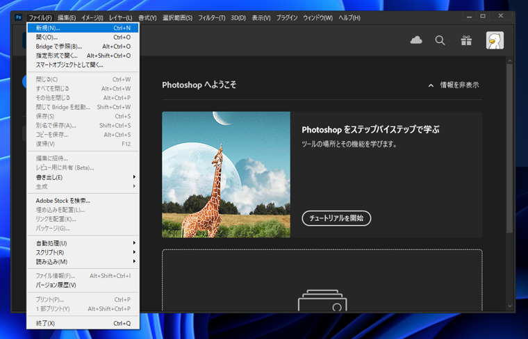 新しい画像を作成する:画像2