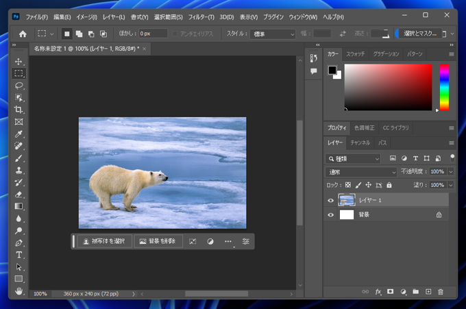 生成塗りつぶし を利用する:画像13