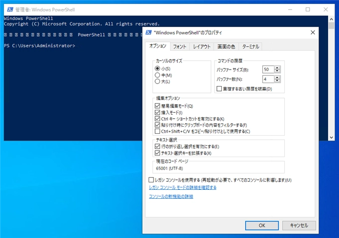 PowerShell のコンソールの文字が文字化けする:画像4