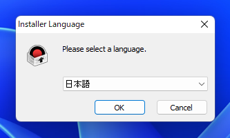 Bandicam のインストール:画像4