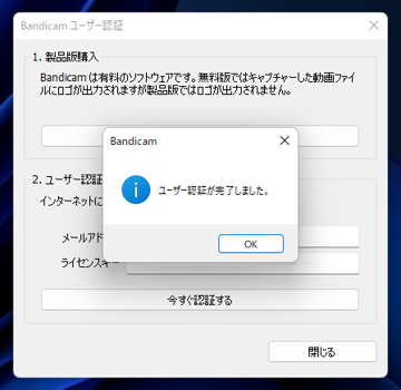 Bandicam のインストール:画像17